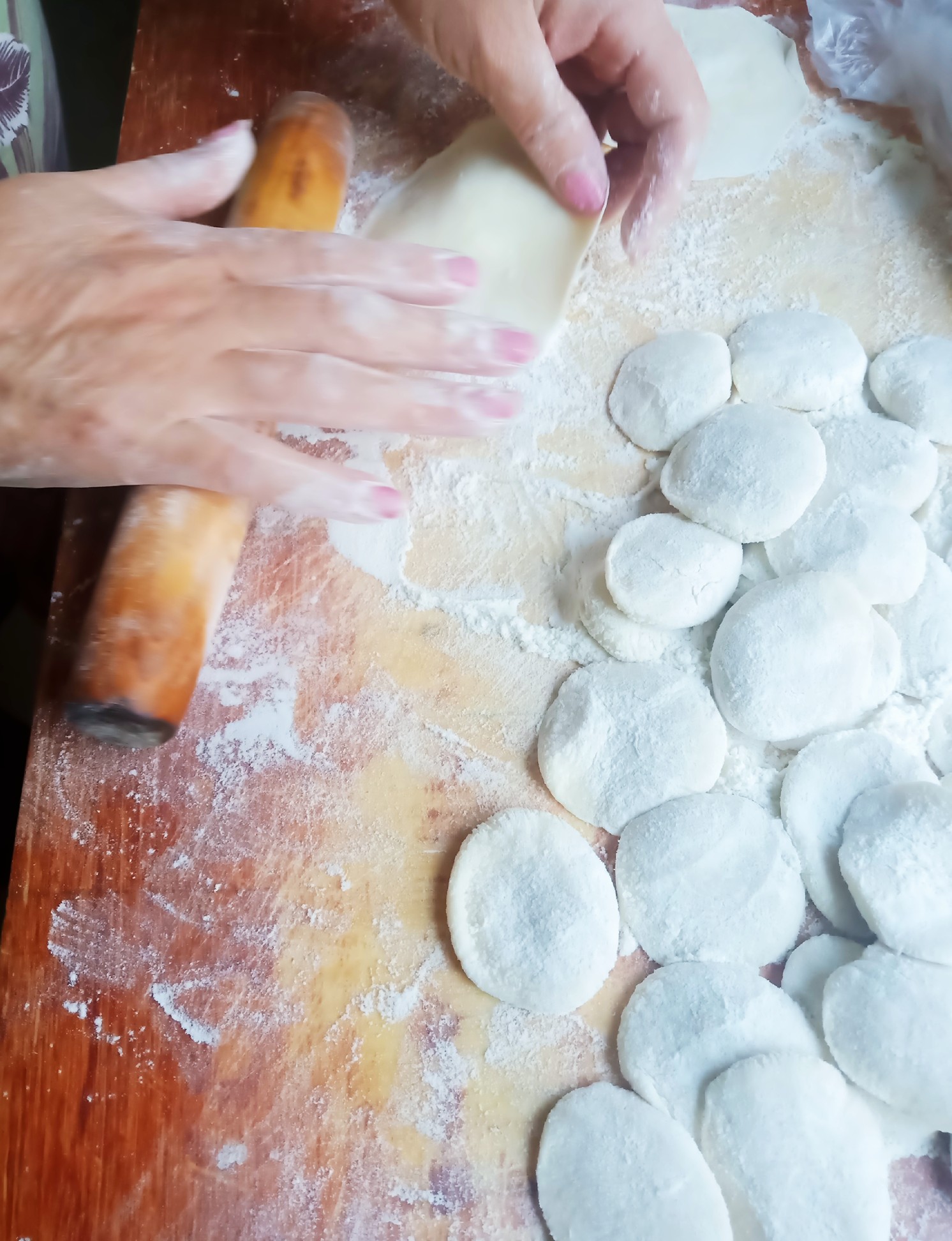 Sauerkraut Steamed Dumplings recipe