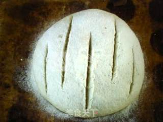 Tuscan Bread recipe