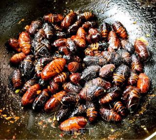 Stir-fried Silkworm Chrysalis with Garlic Chili Sauce recipe