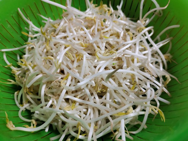 Stir-fried Bean Sprouts with Leek recipe