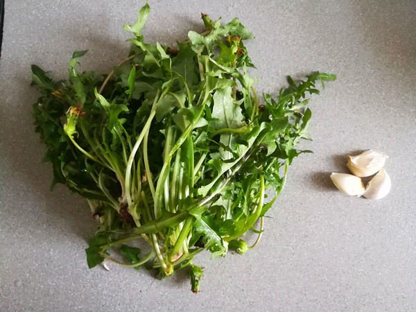 Dandelion Salad recipe