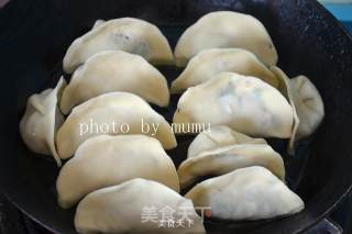 Fried Dumplings recipe