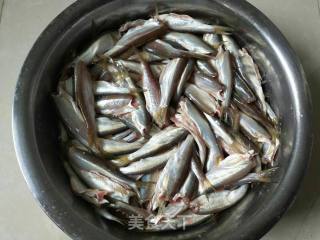 Fried River Fish recipe