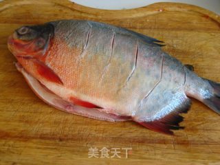 Steamed Red Pomfret recipe