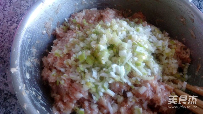 Steamed Dumplings with Pork and Radish Noodles recipe