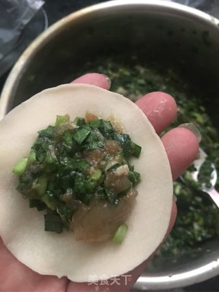 Leek and Shrimp Meat Dumplings recipe