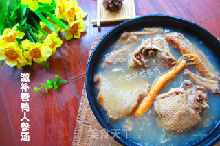 Nourishing Old Duck Ginseng Soup recipe