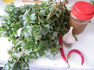 Purslane with Garlic and Hemp Sauce recipe