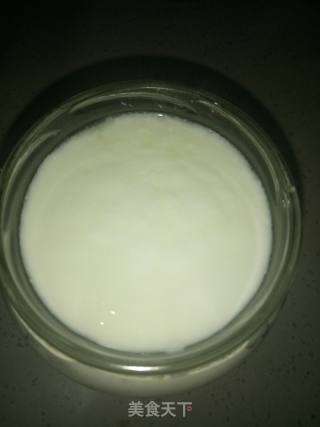 #夏喝# Homemade Yogurt recipe