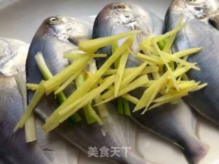 Steamed White Pomfret recipe