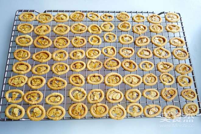 Crispy Roman Shield Cookies recipe