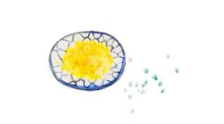 Hand-painted: Osmanthus Fragrans in The City, Have You Never Thought of Using It to Add Dishes to Yourself? recipe