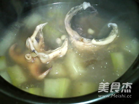 Winter Melon, Barley, Cuttlefish Soup recipe