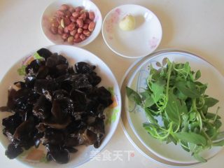 Nepeta Mixed Fungus recipe