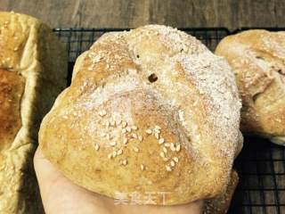 Whole Wheat Toast Whole Wheat Ham Bun recipe