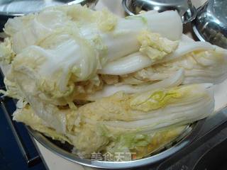 One of The Important Ingredients of Korean Food "spicy Cabbage" recipe