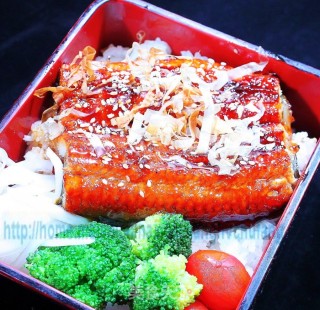 Japanese Style Kabayaki Eel Rice recipe