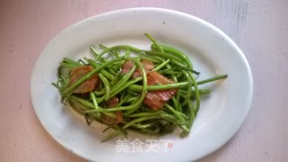 Stir-fried Bacon with Artemisia Quinoa recipe