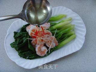Boiled Kale Shrimp recipe