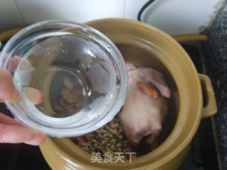 [pingbu Lao Huo Liang Soup-spring Edition] Tu Fu Ling Eyebrow Beans Boiled Pigeon recipe