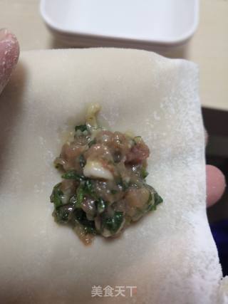 Shepherd's Purse Minced Meat and Shrimp Wontons recipe