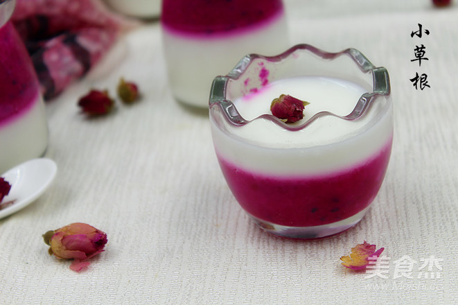 Dragon Fruit Yogurt Jelly recipe