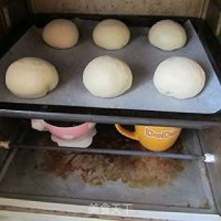 Sesame Yogurt Whole Wheat Bun recipe