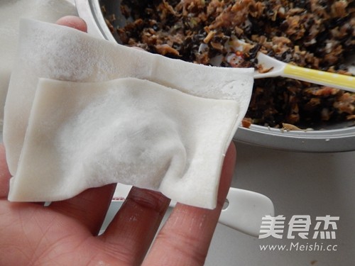 Dried Bamboo Shoots, Fungus and Fresh Meat Wontons recipe