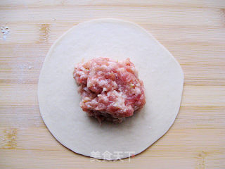 Pork Scallion Fried Bun recipe