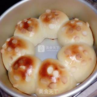 #新良第一节婚纱大赛# Yogurt Almond Chip Meal Pack and Yogurt Honey Bean Toast recipe