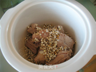 Winter Melon and Barley Pork Rib Soup recipe