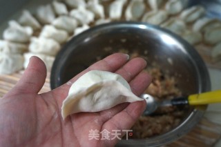 【beijing】beef and Onion Dumplings recipe