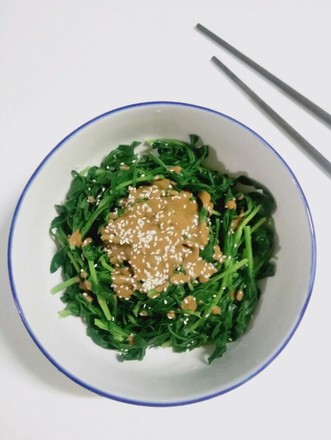 Wild Vegetables that are about to Become Extinct-cold Noodle Dishes