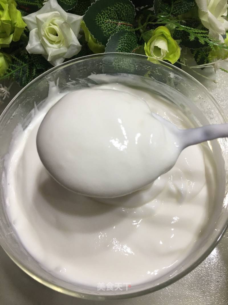 Homemade Plain Yogurt recipe