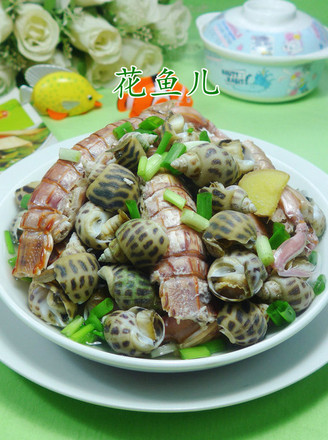 Brine Snail Mantis Shrimp