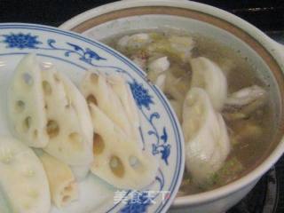 Pointed Barracuda and Lotus Root Soup recipe