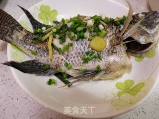 Steamed Tilapia recipe