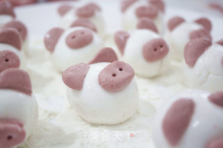 Pig Dumplings recipe