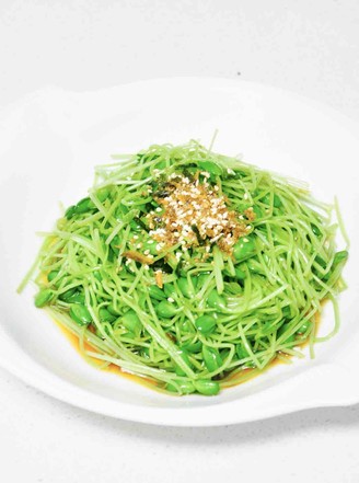 Spiced Pine and Bean Sprout