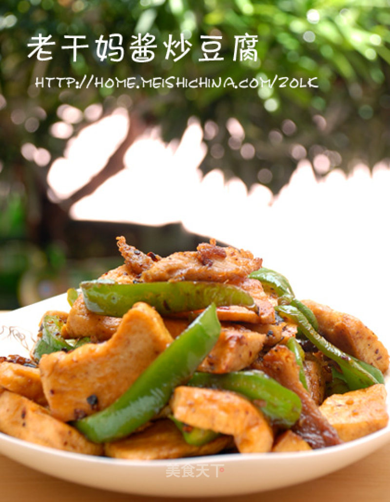 Laoganma Stir-fried Tofu with Chili Sauce recipe