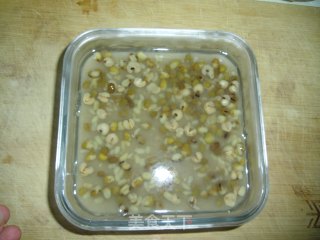 Barley and Mung Bean Sorbet recipe