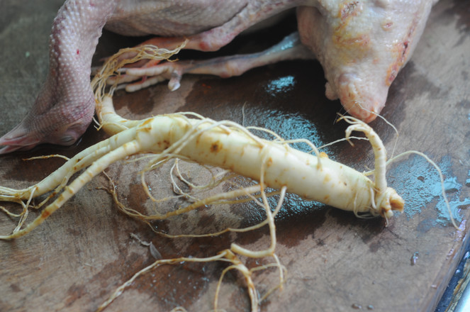 Stewed Quail with Ginseng recipe