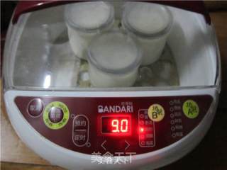 Electric Cooker for Making Yogurt recipe