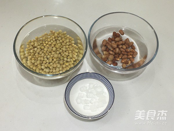 Peanut Soy Milk recipe