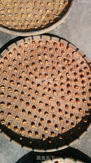 The Production of Yellow Peel Honey recipe