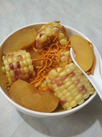 Cordyceps and Corn Soup