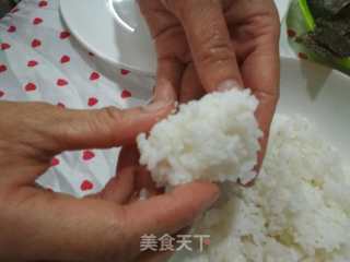 A Family of Three Small Animal Rice Balls recipe