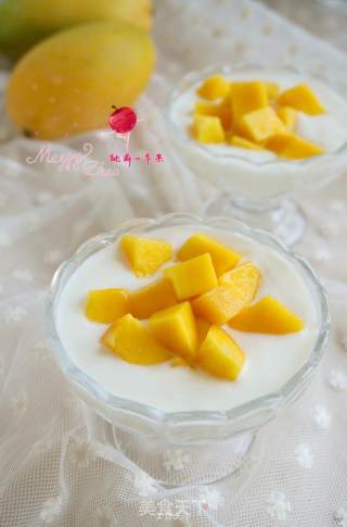 Mango Yogurt Cup recipe