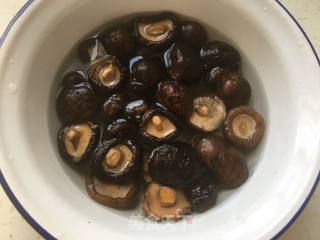 Mushroom Oil and Gluten recipe