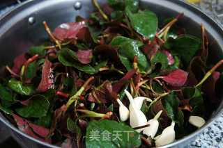 Houttuynia Cordata recipe